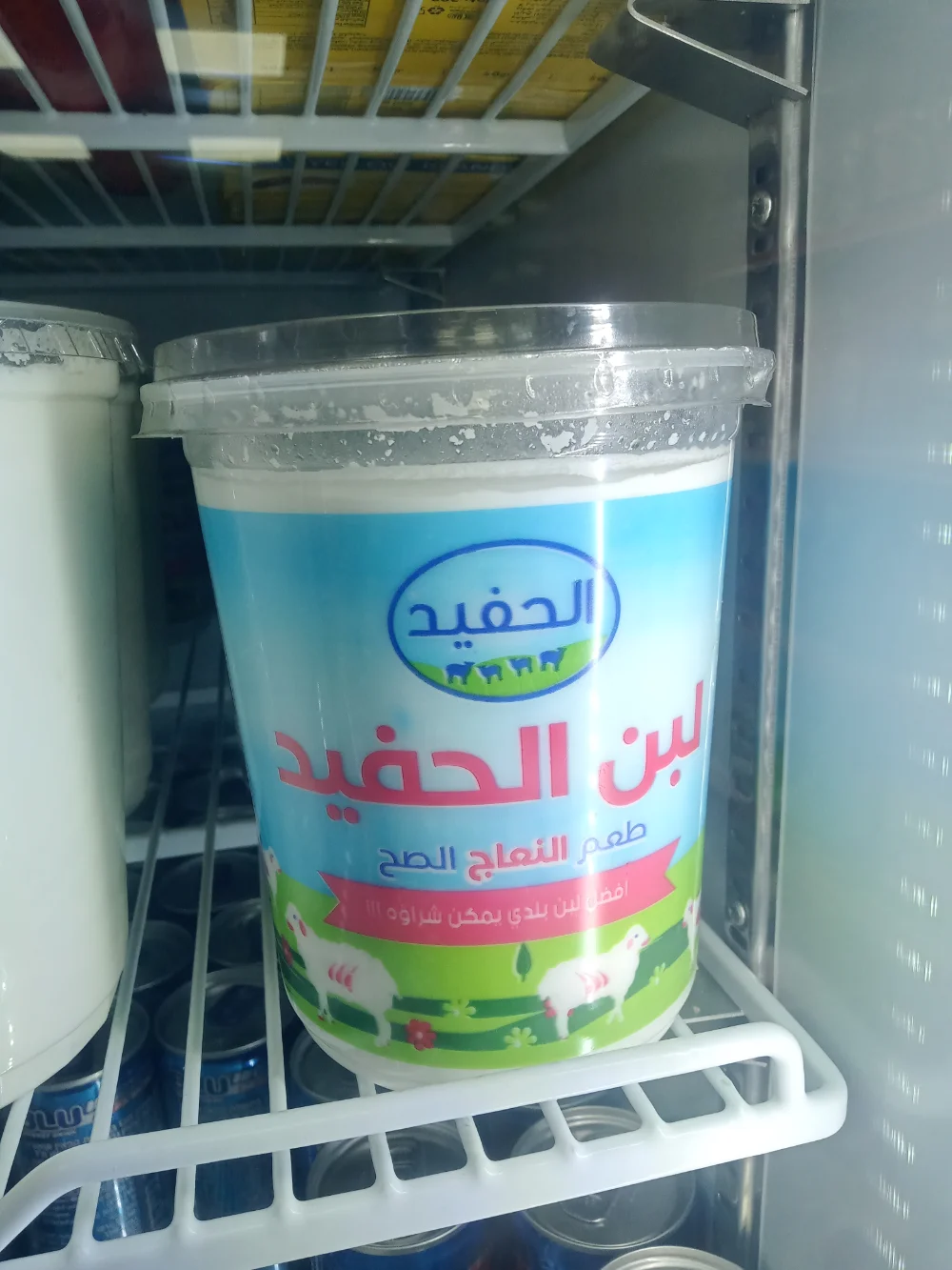 لبن نعاج الحفيد